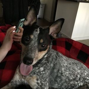 Meet your Posher, Desiree